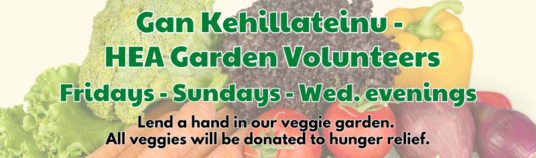 Gan Kehillateinu means our garden Spring is here and its time to get your hands in the dirt Last year HEA grew and donated over 490 lbs of food to local food pantries. If you love to garden or are just learning join us Sunday mornings from 900-1100 a.m. Fridays 900 - 1100 a.m. and once-a-month Wednesday Weeding and Wine evenings from 630-800 a.m. Upcoming Sundays March 31 April 28 May 5 12 26 Upcoming Fridays April 5 12 every Friday in May Third Wednesday of the Month starting on May 15 In June early July we will need help on Fridays to harvest and deliver Watch for upcoming Garden Programs exploring the Jewish connection to growing sharing and enjoying food