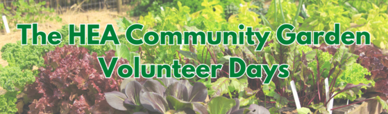 Community Garden Volunteer Days