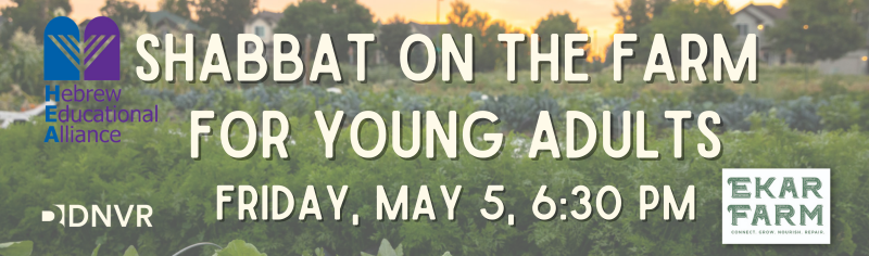 Banner Image for Young Adult Shabbat on the Farm